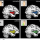 Image: G. Liberati et al.